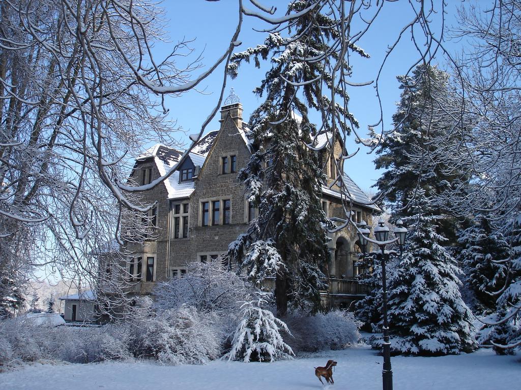 Schlosshotel Stecklenberg Thale Exteriér fotografie